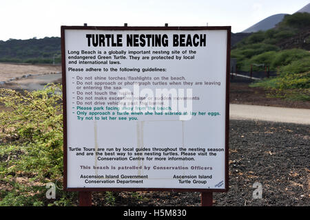 Guide to correct behavior when observing Green Turtles egg laying on Long Beach on Ascension Island Stock Photo