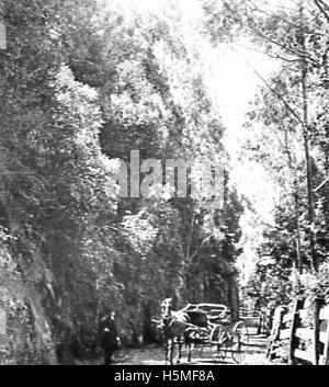Bulli Pass undated [RAHS Photograph Collection] (3) Stock Photo