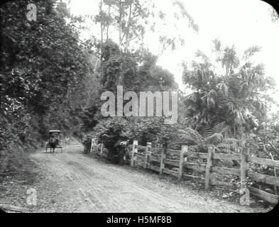 Bulli Pass NSW undated [RAHS Photograph Collection] Stock Photo