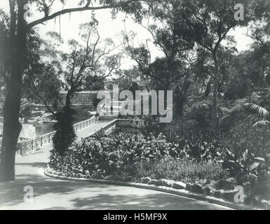 Taronga Park Zoo - 1924 Stock Photo