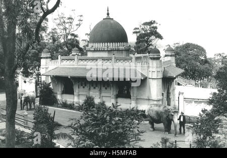 Taronga Park Zoo - 1924 Stock Photo