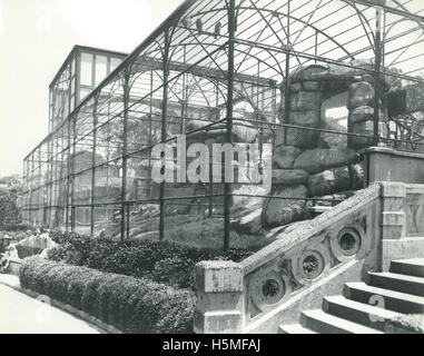 Taronga Park Zoo - 1924 Stock Photo