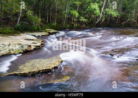 Stream in the tropical forest at Phu Kradueng national park, Loei Thailand. Stock Photo