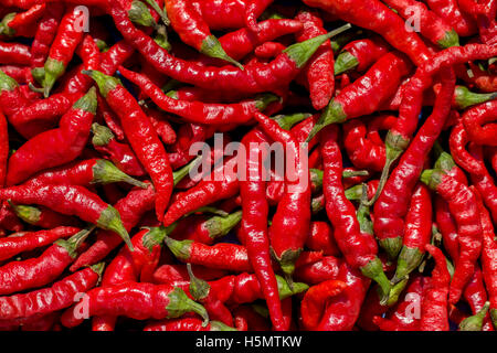 Hot red chilli pepper background Stock Photo