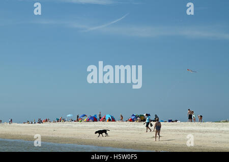 At the beach of blavand in Denmark in the summer Stock Photo