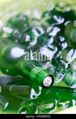 Close up of bottles of cider on ice at a party Stock Photo