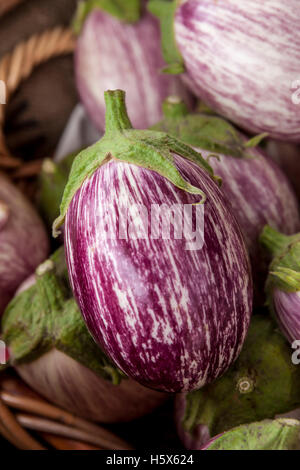 Close up of a zebra eggplant. Stock Photo