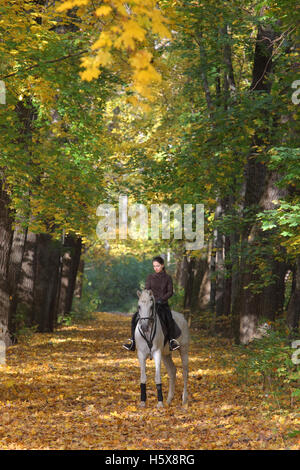 Beautiful young woman riding horse in autumn yellow park Stock Photo