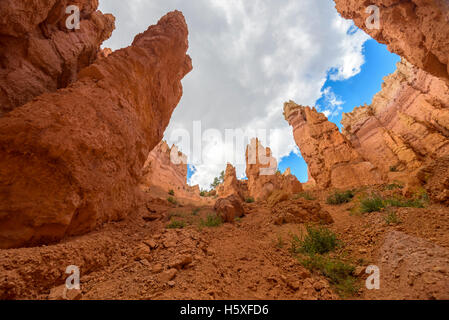 Scenic Views, Bryce Canyon National Park, wall Street, located Utah, in the Southwestern United States. Stock Photo