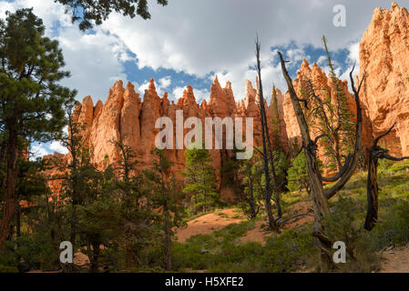 Scenic Views, Bryce Canyon National Park, located Utah, in the Southwestern United States. Stock Photo