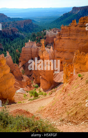 Sunrise and scenic views of the Amphitheater, Bryce Canyon National Park, located Utah, in the Southwestern United States. Stock Photo