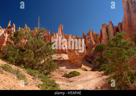 Scenic Views, Bryce Canyon National Park, located Utah, in the Southwestern United States. Stock Photo