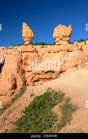 Scenic Views, Bryce Canyon National Park, located Utah, in the Southwestern United States. Stock Photo