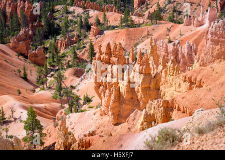 Scenic Views, Bryce Canyon National Park, located Utah, in the Southwestern United States. Stock Photo