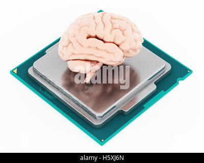 Microprocessor and human brain isolated on white background. 3D illustration Stock Photo