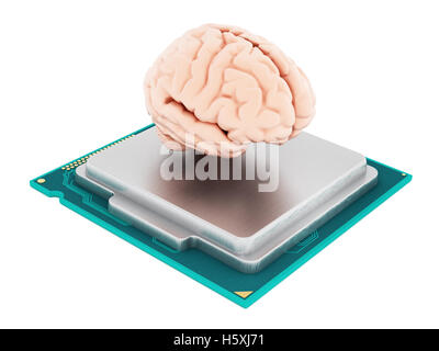 Microprocessor and human brain isolated on white background. 3D illustration Stock Photo