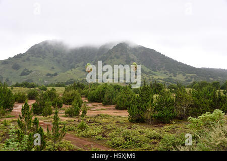 Green Mountain on a wet day taken from Devil's Ashpit on Ascension Island Stock Photo