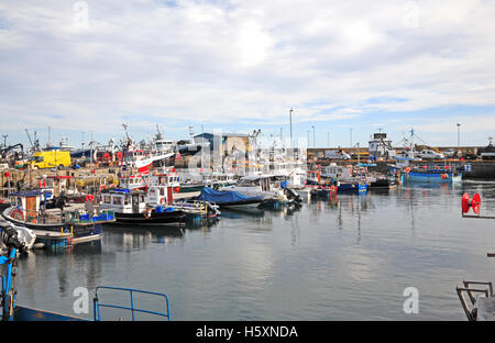 A view of inshore fishing boats berthed in the harbour at Fraserburgh, Aberdeenshire, Scotland, United Kingdom. Stock Photo