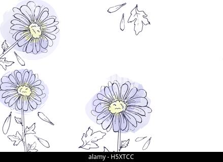 daisy flowers, floral vector set of ink drawing plants, monochrome black line drawn elements Stock Vector