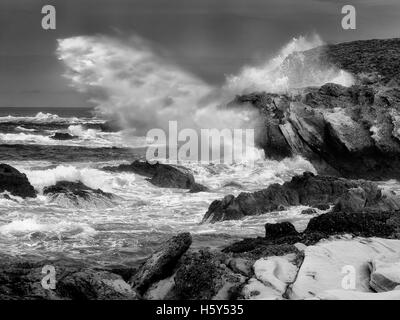 Crashing storm waves. Point Lobos State Reserve. California Stock Photo