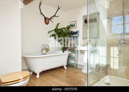 A modernised bathroom in a Victorian home, showing wood flooring, a freestanding bath & walk in shower Stock Photo