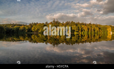 Shearwater Lake, Wiltshire, UK. 21st Oct, 2016. Shearwater, Longleat Estate. A glorious end to the day on this popular fishing and boating lake saw the setting sun illuminate the bank of trees surrounding the waterside. The Autumn is now in full swing as the deciduous trees reveal the deep hues of orange, red and yellows in the foliage. Credit:  Wayne Farrell/Alamy Live News Stock Photo