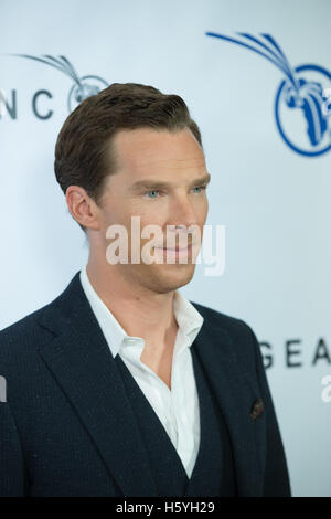 West Hollywood, USA. 21st Oct, 2016. Actor Benedict Cumberbatch attends the GEANCO Foundation's Annual Hollywood Fundraiser at Spectra by Wolfgang Puck at the Pacific Design Center on October 21, 2016 in West Hollywood, California. Credit:  The Photo Acce Stock Photo