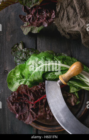 Chard mangold salad leaves Stock Photo
