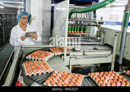 Female using digital tablet while examining eggs on conveyor belt Stock Photo