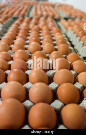 Eggs arranged in egg carton Stock Photo