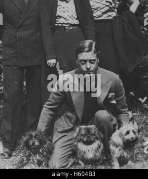 Edward, Prince of Wales, future King Edward VIII (1894-1972) with his dogs Stock Photo