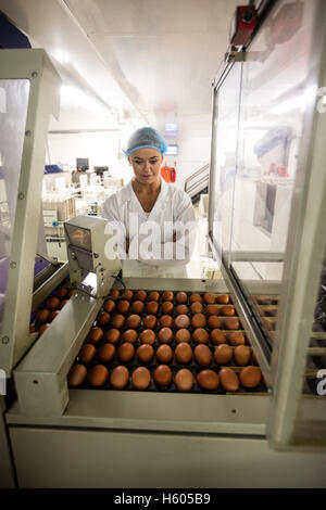 Female staff examining eggs on conveyor belt Stock Photo