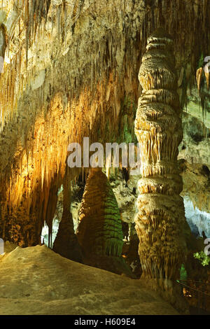 Stalactites and column, Big Room, Carlsbad Caverns National Park, New Mexico USA Stock Photo