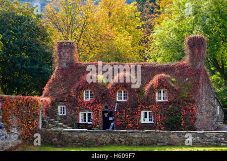 Tu Hwnt I'r Bont Tearooms in picturesque 15th century cottage by Pont Fawr bridge over Afon Conwy River in autumn colour. Llanrwst Conwy Wales UK Stock Photo
