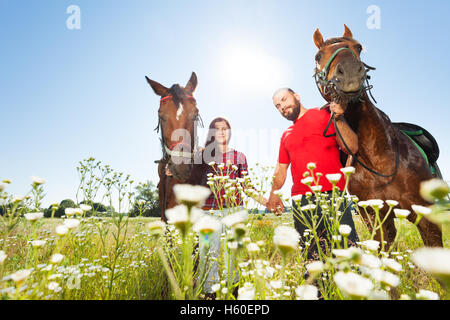 Happy couple walking with horses in summer field Stock Photo