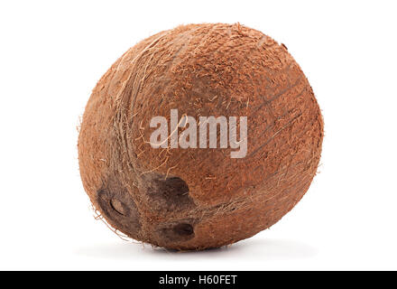 Coconut tropical fruit closeup isolated on white Stock Photo