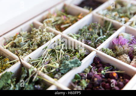 Different dried herbs in a wooden tea box. Stock Photo