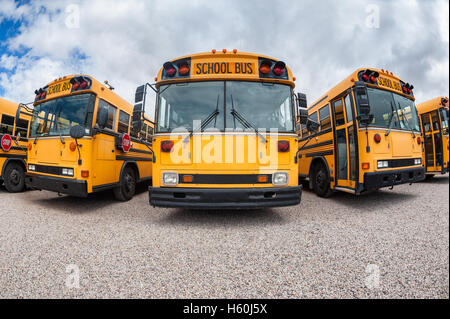 American School Buses Stock Photo