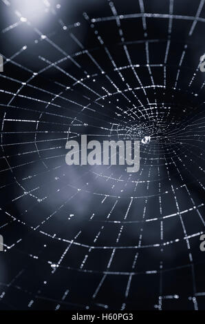 abstract spider web dark background Stock Photo