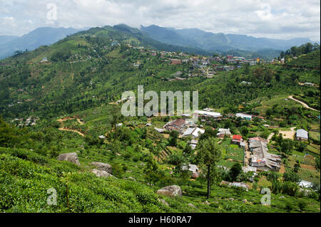 Tea plantations around Haputale, Sri Lanka Stock Photo