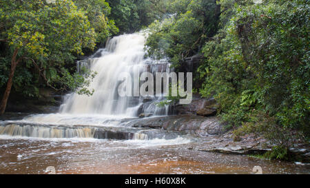 Somersby Waterfalls,  Brisbane Water National Park, Somersby, NSW Australia. Stock Photo