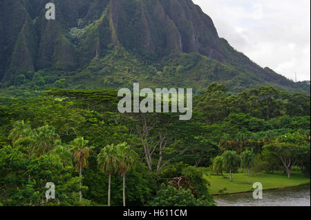 Ho'omaluhia Botanical Gardens on Oahu Island, Hawaii Stock Photo