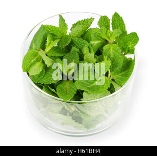 Fresh peppermint leaves in glass bowl on white background. Green Mentha piperita is an edible herb. Stock Photo