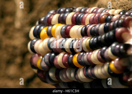 Detail of variety of colorful dry corn on the cob Stock Photo