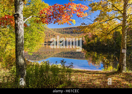 Two sugar maple trees on the shore of peaceful Big Pond reflecting Autumn foliage in the Catskills Mountains of New York. Stock Photo