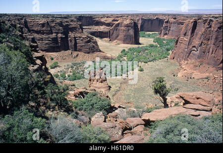View from the rim overlooking Canyon de Chelly National Monument, Arizona Stock Photo