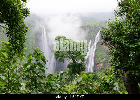 Jog falls Karnataka India Scenic view of Jog falls in Western ghat forests Stock Photo