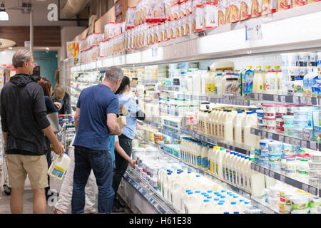 Men shopping chilled section for milk in Harris Farm markets supermarket store shop in Manly beach,Sydney,Australia Stock Photo