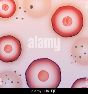Science Background, Two-cell Embryo - Vector Illustration Stock Vector