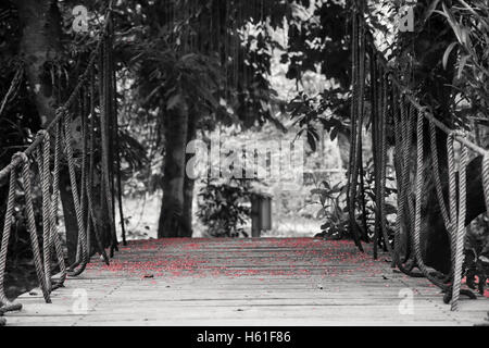 Suspension bridge with ropes leading to tropical forest covered with red flowers on wooden planks and blurred background Stock Photo